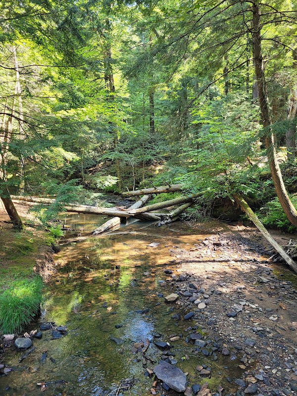 Hiking Adventure at North Country National Scenic Trail Trailhead - North Country National Scenic Trail Trailhead