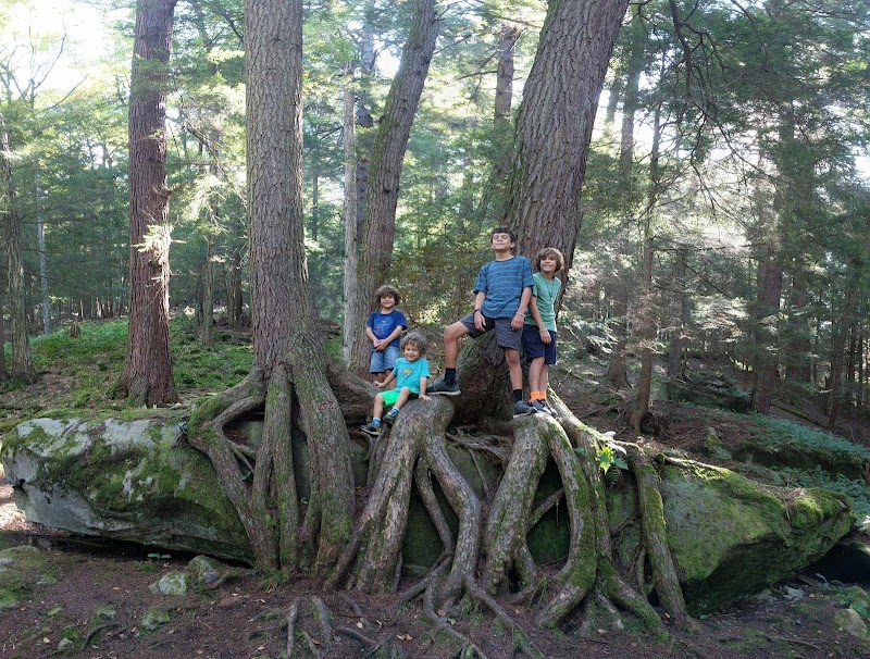 Hiking Adventure at North Country National Scenic Trail Trailhead surrounding landscape