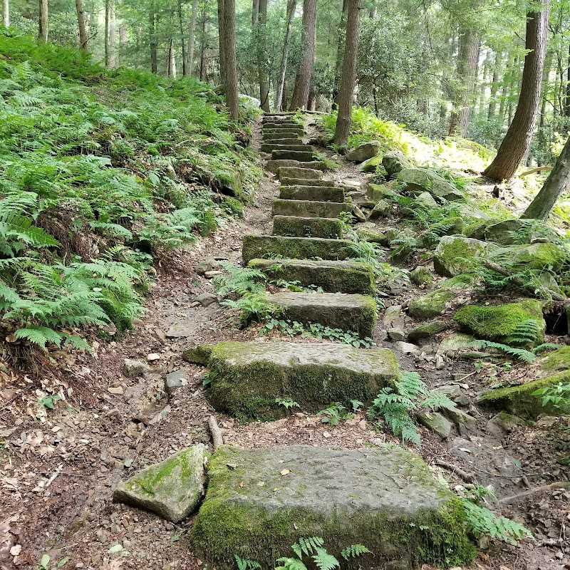 Hiking Adventure at North Country National Scenic Trail Trailhead - North Country National Scenic Trail Trailhead