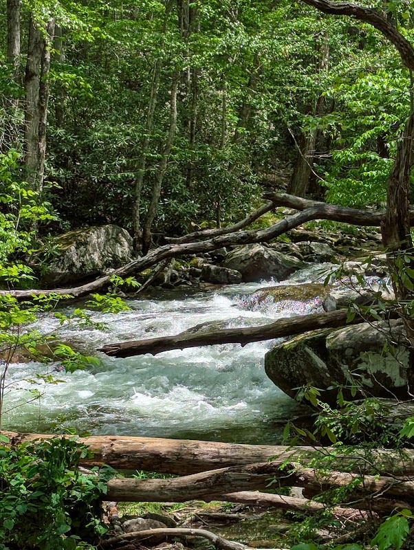 Scenic Hiking at Elkmont Nature Trailhead, Gatlinburg - Elkmont Nature Trailhead