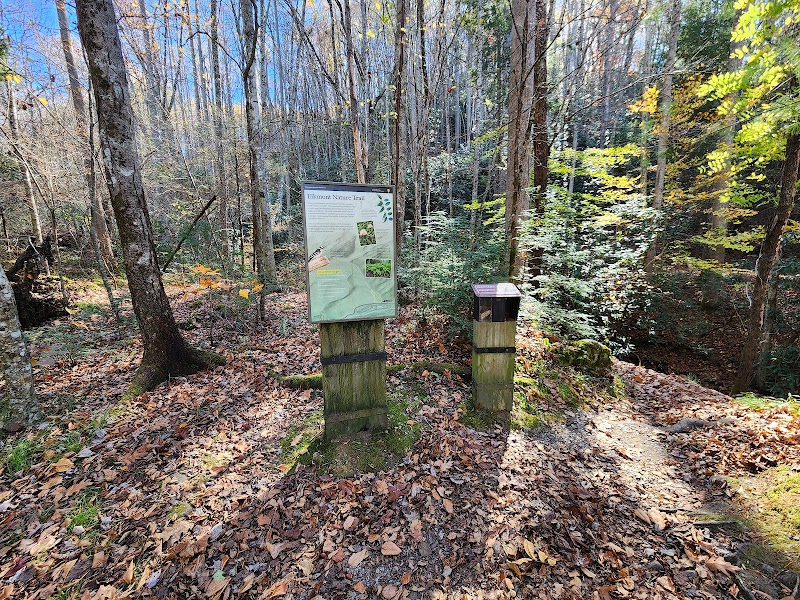 Scenic Hiking at Elkmont Nature Trailhead, Gatlinburg - Elkmont Nature Trailhead