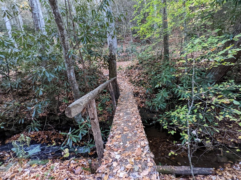Scenic Hiking at Elkmont Nature Trailhead, Gatlinburg - Elkmont Nature Trailhead