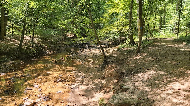 Nature Walk at Loblolly Trail Near Raleigh, NC - Loblolly Trail