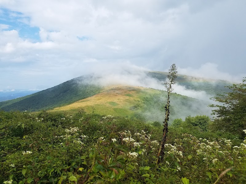 Natural Hiking Escape at Little Hump Mountain, North Carolina - Little Hump Mountain