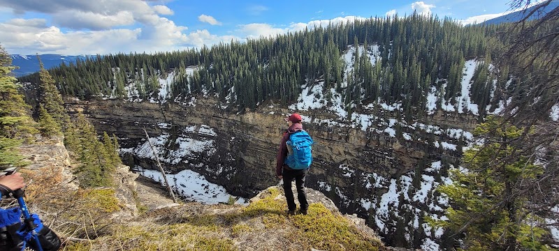 Waterfall Wonder at Crescent Falls Provincial Recreation Area - Crescent Falls Provincial Recreation Area
