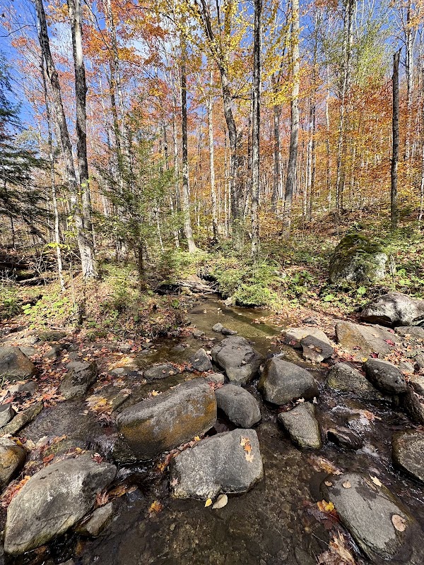 Hiking Adventure at Mount Pisgah Trail North in Brownington, Vermont - Mount Pisgah Trail North