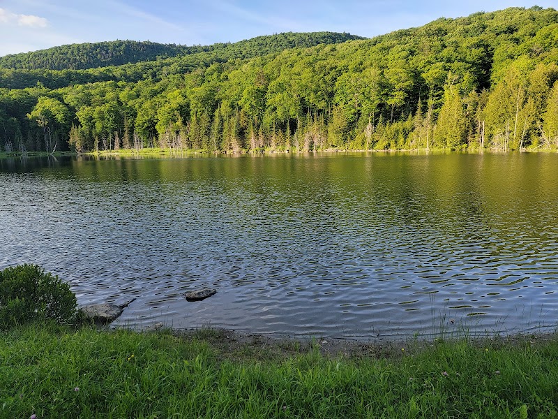 Nature's Scenic Retreat at Willoughby State Forest - Willoughby State Forest