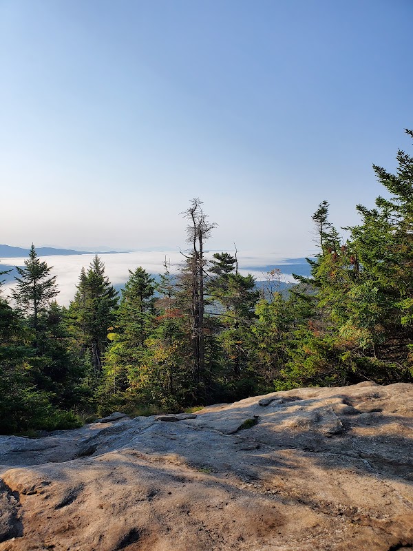 Nature's Scenic Retreat at Willoughby State Forest surrounding landscape