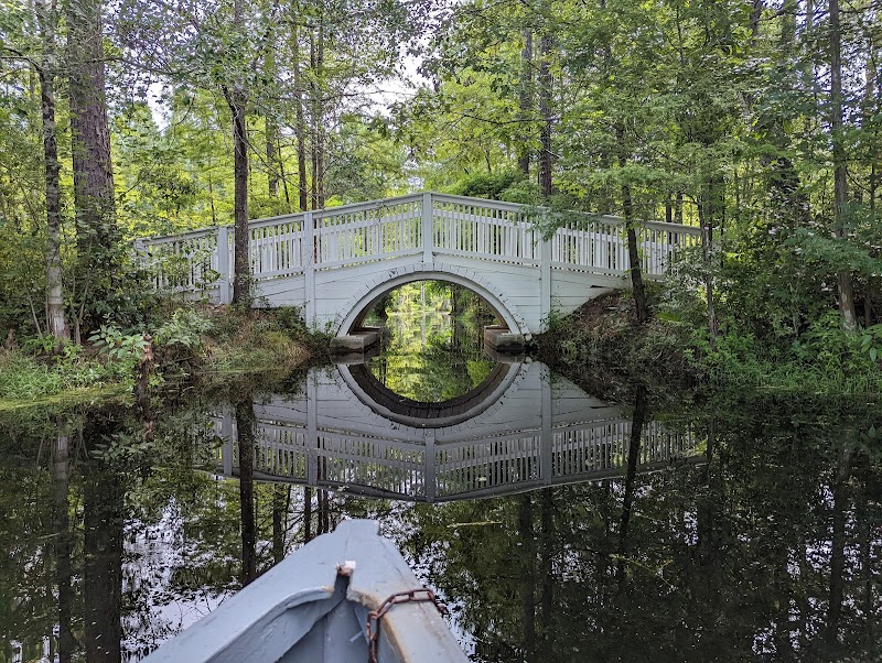 Wetland Wonders and Cypress Trees of Cypress Gardens, South Carolina - Cypress Gardens