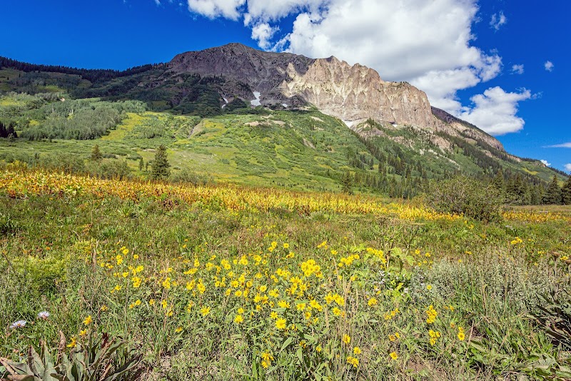 Mountain Majesty at Gothic Mountain, Colorado - Gothic Mountain
