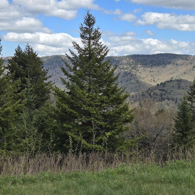 Mount Pisgah National Scenic Area adventures