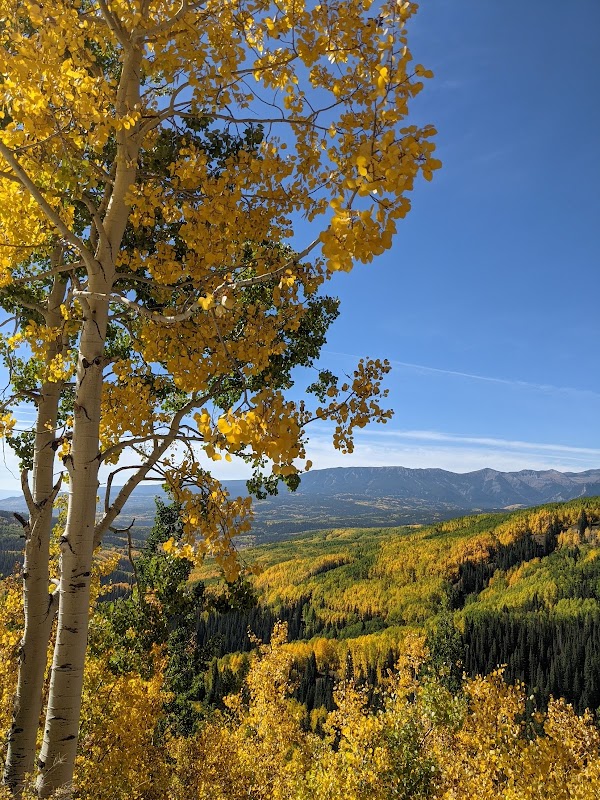 Aspen Colors & Mountain Views at Ohio Pass - Ohio Pass