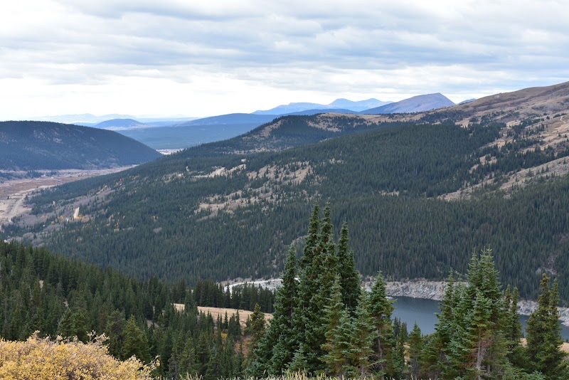 Mountain Pass Beauty at Hoosier Pass, Colorado outdoor detail
