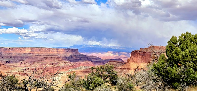 Hiking Neck Spring Trail – Canyon Views of Utah - Neck Spring Trail