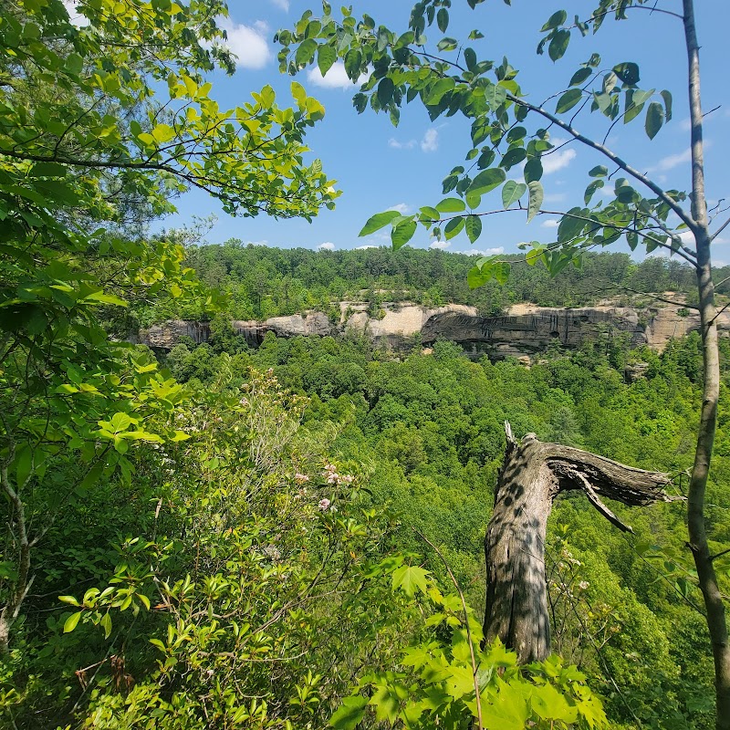 Hiking Adventure at Indian Staircase Trailhead in Pine Ridge, KY outdoor detail