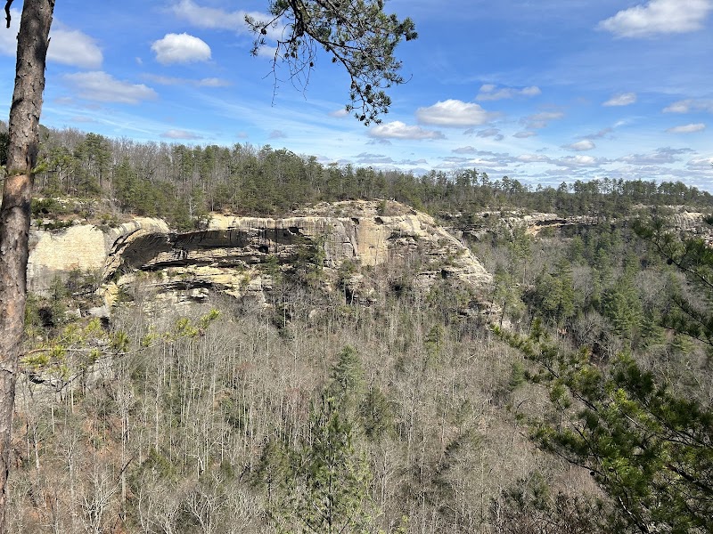 Hiking Adventure at Indian Staircase Trailhead in Pine Ridge, KY - Indian Staircase Trailhead