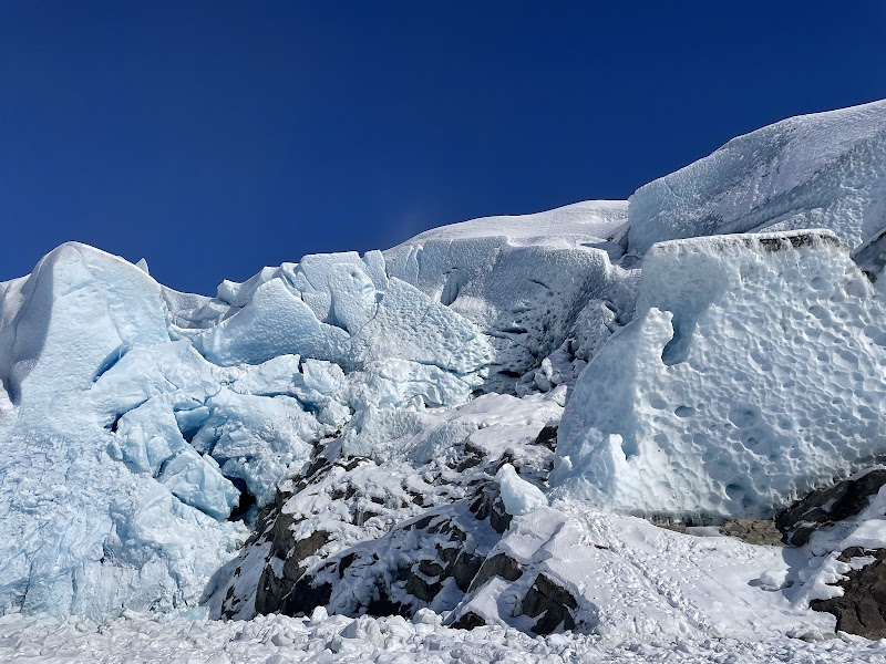 Glacial Wonder in Juneau: Mendenhall Glacier (Áakʼw Tʼáak Sítʼ) - Mendenhall Glacier (Áakʼw Tʼáak Sítʼ)