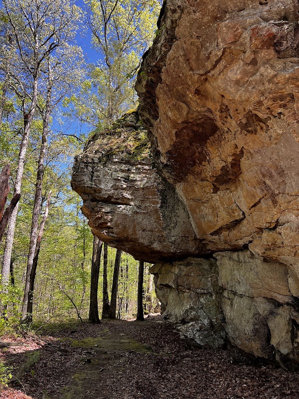 Natural Arch & Hiking Adventure at Seven Hollows Trailhead, Morrilton, Arkansas - Seven Hollows Trailhead