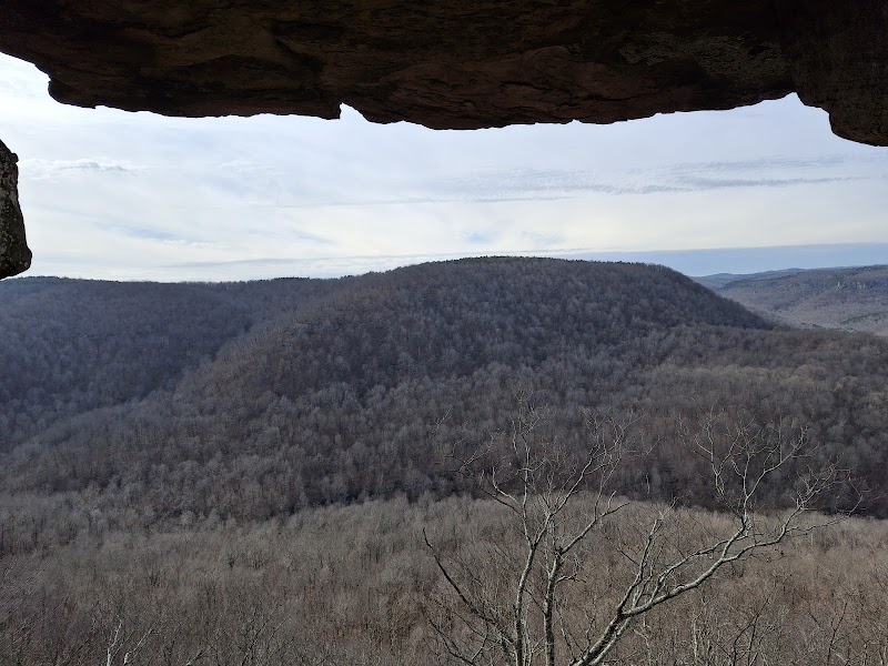 Thunderbird Cave in Mt. Judea, Arkansas: A Natural Rock Shelter with Scenic Views - Thunderbird Cave
