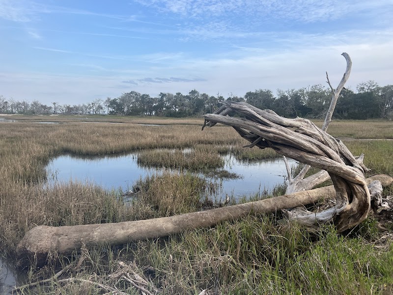 Coastal Wilderness & Driftwood Shores at Botany Bay Island - Botany Bay Island