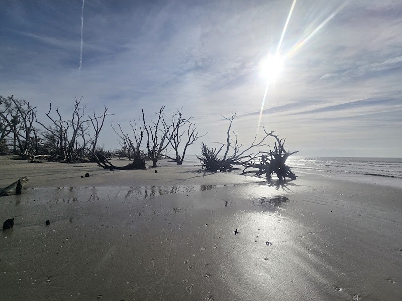 Coastal Wilderness & Driftwood Shores at Botany Bay Island adventures