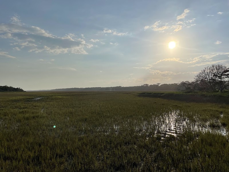 Coastal Wilderness & Driftwood Shores at Botany Bay Island outdoor detail