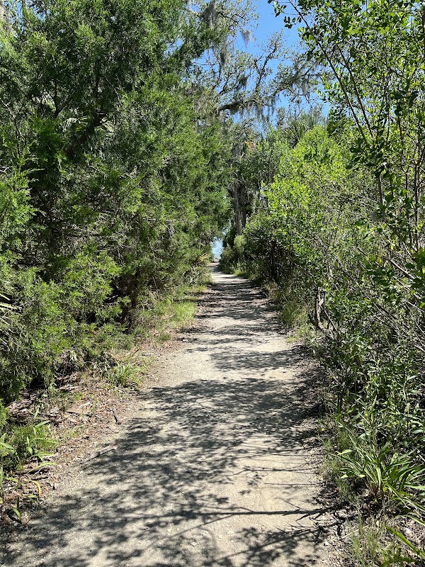 Coastal Wilderness & Driftwood Shores at Botany Bay Island surrounding landscape