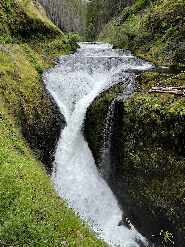 Waterfall Wonder: Twister Falls Near Cascade Locks, OR