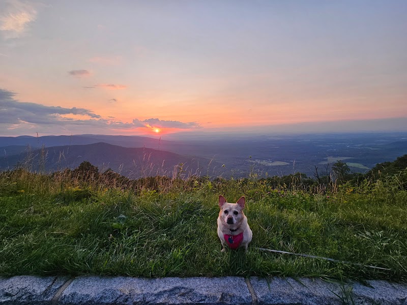 Scenic Vista at Rock Point Overlook near Roseland, Virginia surrounding landscape