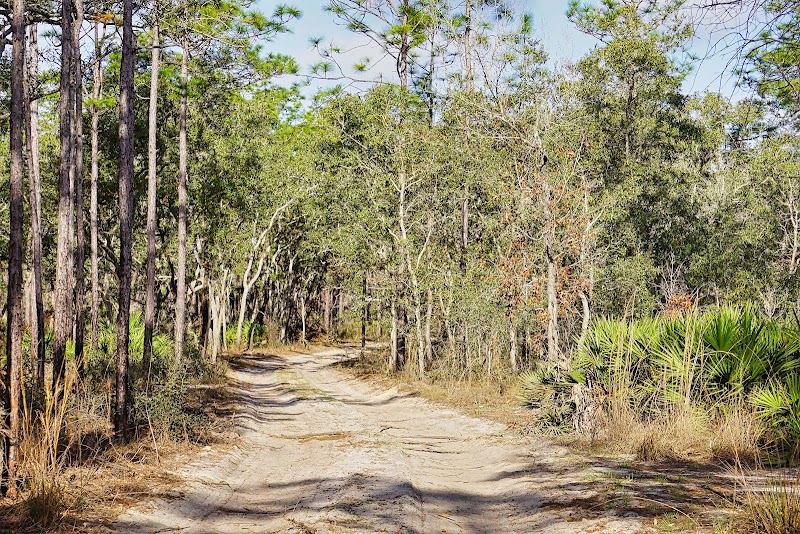 Outdoor Adventure & Wildlife Haven at Citrus Wildlife Management Area outdoor detail