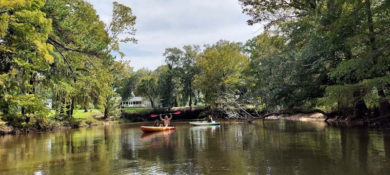 Kinchafoonee Creek: Georgia's Serene Waterway Adventure surrounding landscape