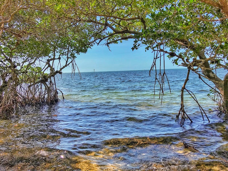 Coastal Beauty at Sarasota Bay, Florida