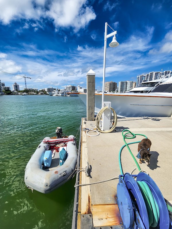 Coastal Beauty at Sarasota Bay, Florida outdoor detail