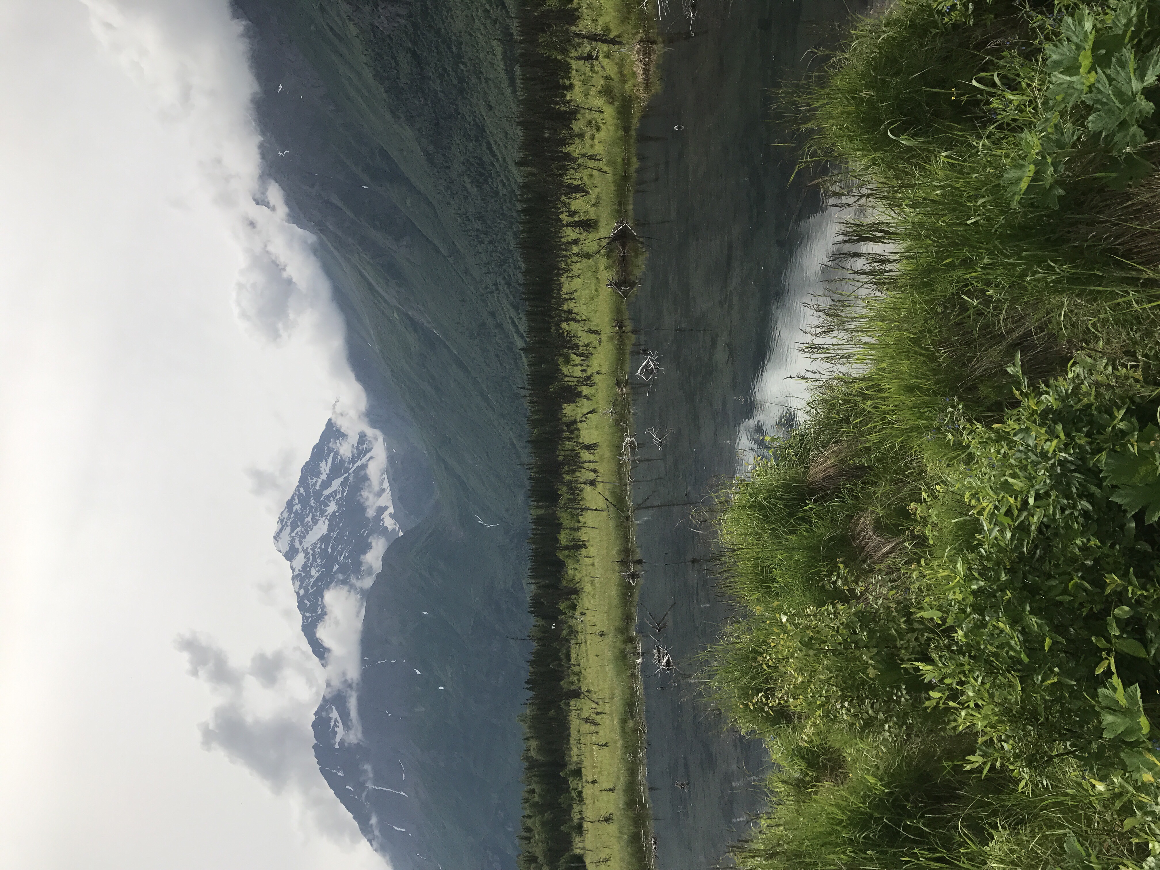 Discover Albert Loop: Easy Biking and Hiking Near Eagle River, Alaska