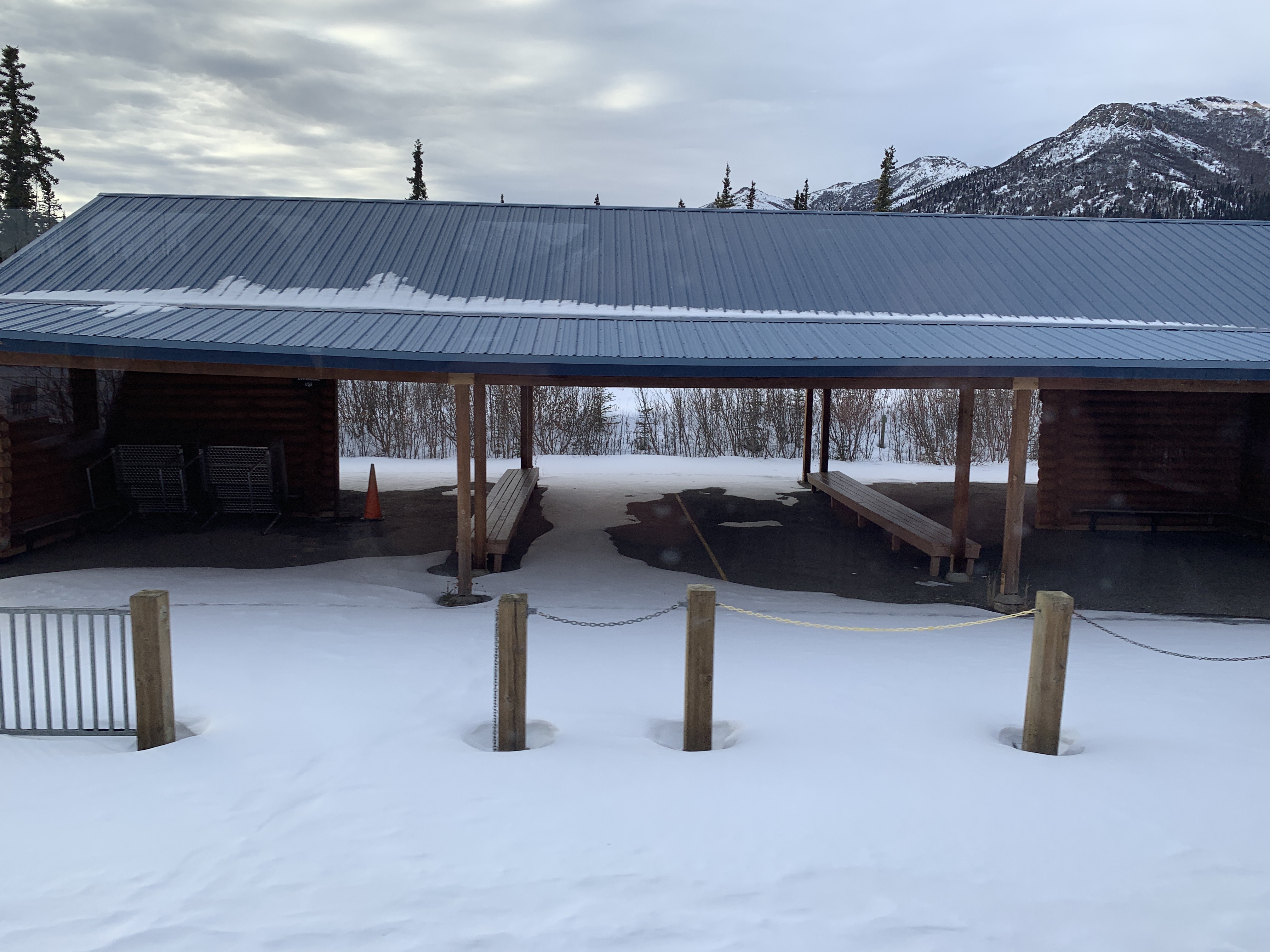 Exploring Denali National Park's Scenic Hiking Trail