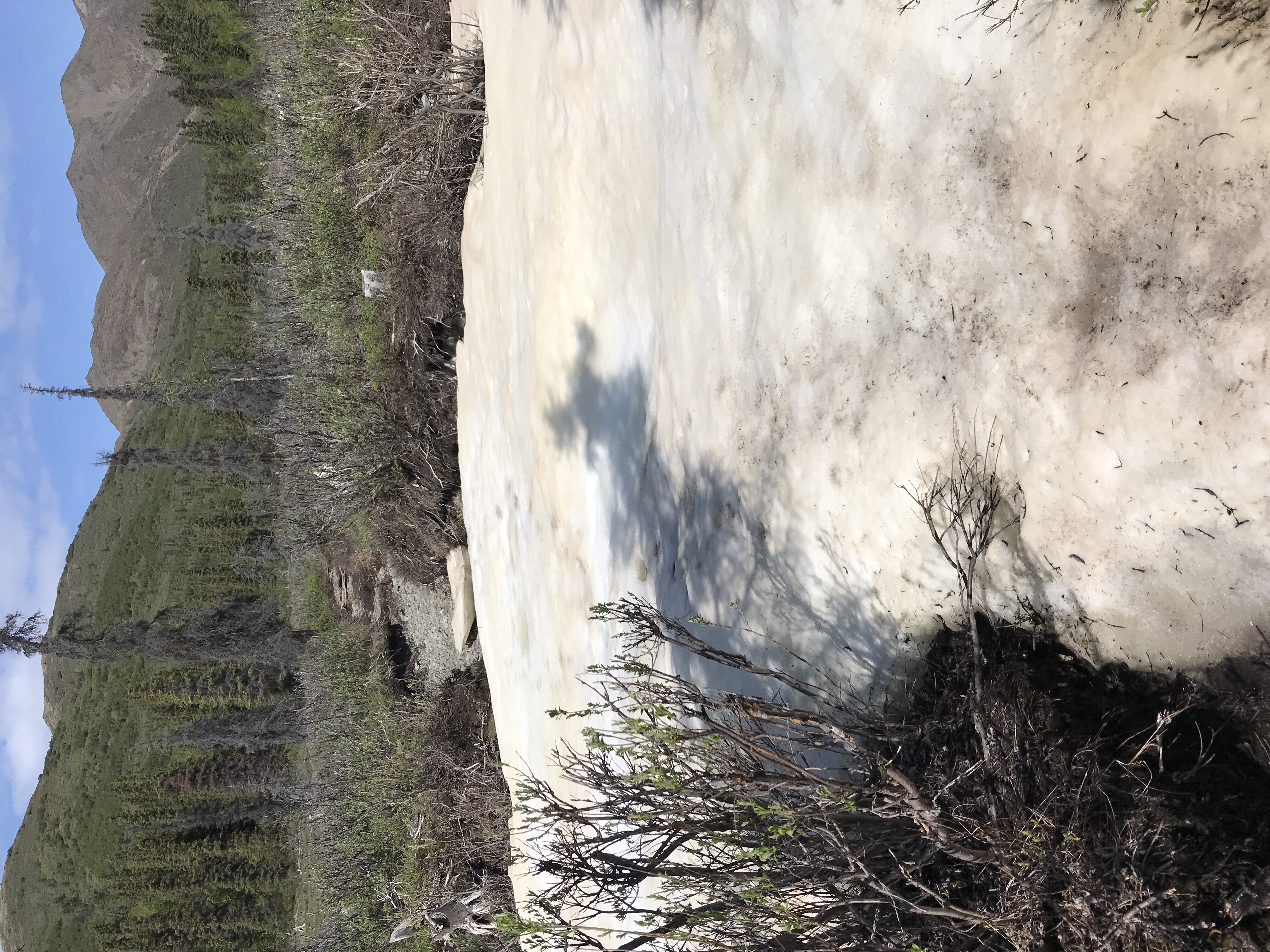 Mountain Biking the Kluane / Wrangell-St. Elias / Glacier Bay Trail